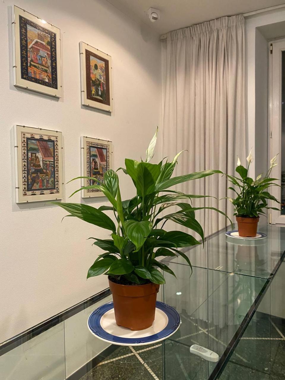 Martel Rooms - Genova Centro Brignole Zewnętrze zdjęcie